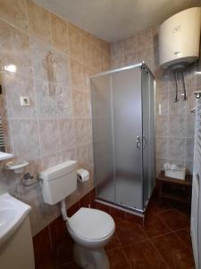 een badkamer met een toilet en een douche bij Lana 1 in Senj