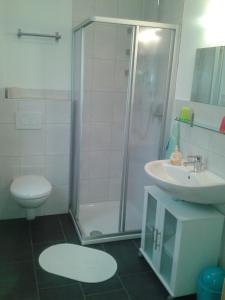 een badkamer met een douche, een toilet en een wastafel bij Apart Silke in Pettneu am Arlberg