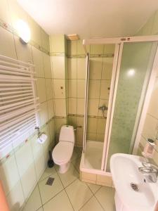 W łazience znajduje się toaleta, prysznic i umywalka. w obiekcie Villa REJS Jastarnia w Jastarni
