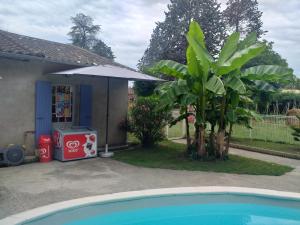 una piscina di fronte a una casa con una palma di Chez Celine et Philippe appartement dans propriété de charme avec piscine a Le Fossat