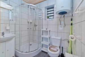 a bathroom with a toilet and a shower and a sink at Domki letniskowe Kajuta in Władysławowo +25 photos