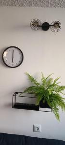 a clock and a potted plant on a wall at Ružica 2 in Makarska