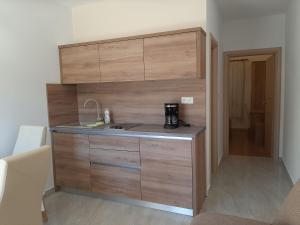 Kuchyň nebo kuchyňský kout v ubytování Apartments EDO