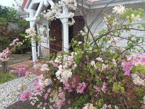 a bunch of flowers in front of a house at LE DIAMANT Charmante Villa pour la famille ou entre amis SPA et Piscine in Le Diamant