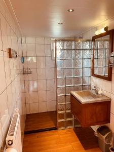 a bathroom with a shower and a sink at Erve Dikkeboer in Bathmen +21 photos