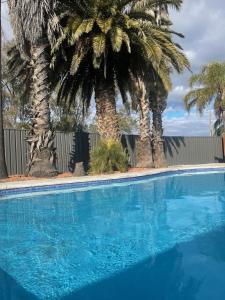 The swimming pool at or close to Town & Country Motor Inn