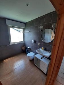 a bathroom with a toilet and a sink and a mirror at Ferienhaus Schwalbennest in Gerolstein