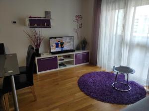 a living room with a purple rug and a tv at A romantic getaway in Varaždin in Varaždin