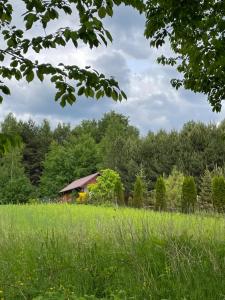 a field of grass with a barn in the background at Wittówka - domek na wyłączność z dala od sąsiadów in Tomaszów Lubelski