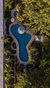 een luchtzicht op een zwembad met bomen bij Lovely Condo near monkey habitat and beach in Quepos