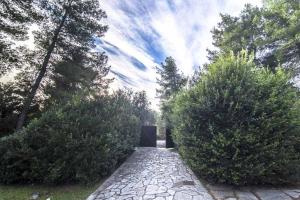 Fotografie z fotogalerie ubytování K Lux Apartments v destinaci Paltsi Pilion
