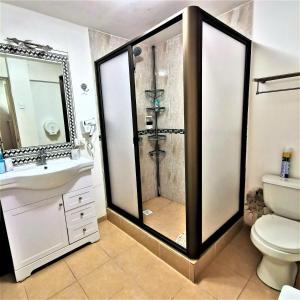 W łazience znajduje się prysznic, toaleta i umywalka. w obiekcie Hostal Vivo Concepción w mieście Concepción