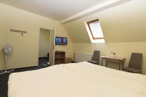 Televízia a/alebo spoločenská miestnosť v ubytovaní Hotel U Jezírka