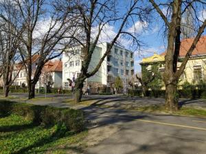 una strada in una città con alberi ed edifici di Nelli Apartman a Keszthely