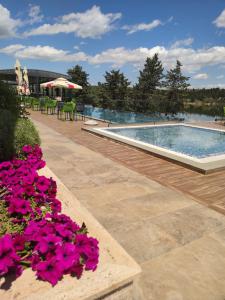 Bazén v ubytování Glorius Hotel nebo v jeho okolí
