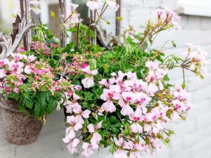 Fotografie z fotogalerie ubytování Robins Rest, Billingshurst v destinaci Billingshurst