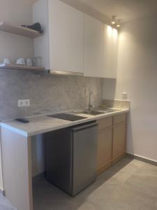 Kuchyň nebo kuchyňský kout v ubytování Asteras Hotel