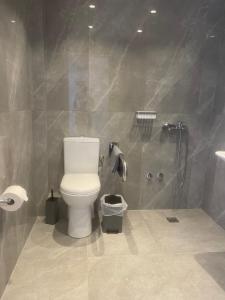 Koupelna v ubytování Asteras Hotel