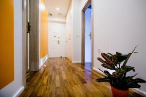 Foto dalla galleria di Guesthouse Old Mulberry a Spalato (Split)
