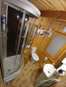 La salle de bains est pourvue d'une douche et de toilettes. dans l'établissement Wittówka - domek na wyłączność z dala od sąsiadów, à Tomaszów Lubelski