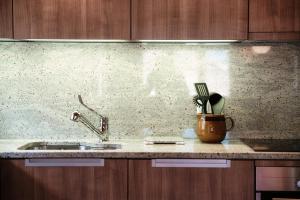 Sobrio的住宿－Baita dal Gat by Quokka 360 - modern wooden chalet in Faido，厨房柜台配有水槽和餐具