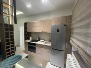 La cuisine est équipée d'un réfrigérateur et d'un évier. dans l'établissement New, modern apartment in Belgrade, à Belgrade