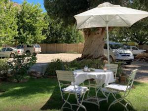 a table and chairs under an umbrella in a yard at Weltevrede Fig Farm in Prince Albert