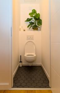a bathroom with a toilet with a potted plant at Le Saint Rome - Toulouse Hypercentre in Toulouse