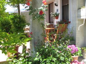 Zahrada ubytování B&B Oasi di Venezia