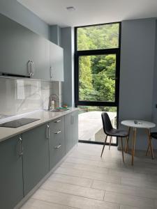 Kuchyň nebo kuchyňský kout v ubytování Hotel Biota