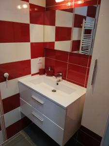 ein Bad mit einem Waschbecken und einem Spiegel in der Unterkunft Appartement de plain pied dans la verdure in Yerres