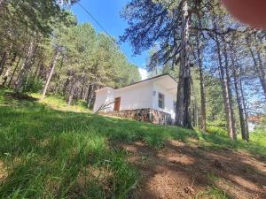 ein kleines weißes Haus im Wald in der Unterkunft Bujtinat Skenderi Gjinar in Gjinar