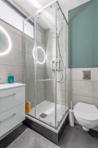 eine Duschkabine im Bad mit WC in der Unterkunft La Suite Cathédrale in Metz