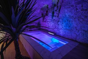a pool with a palm tree next to a purple wall at Airb&Sexy in Béziers