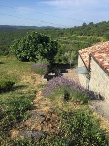 a garden with purple flowers next to a house at Fig&Lavender Apartment in Šmarje