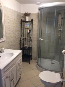 a bathroom with a shower and a toilet and a sink at Fig&Lavender Apartment in Šmarje +29 photos
