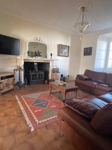 ein Wohnzimmer mit einem Sofa und einem Kamin in der Unterkunft The Sans Souci Estate - The Chateau House 