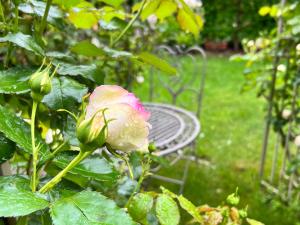 Vonkajšia záhrada v ubytovaní La Finestra sul Giardino - B&B