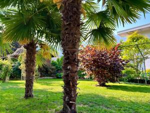Vonkajšia záhrada v ubytovaní La Finestra sul Giardino - B&B