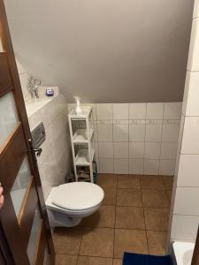 Vannituba majutusasutuses Kaszuby- Domek całoroczny nad Jeziorem Gowidlińskim