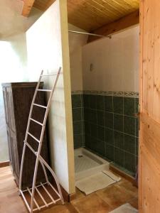 a shower with a ladder in a bathroom at Maison Coquelicot in Chanéac +22 photos