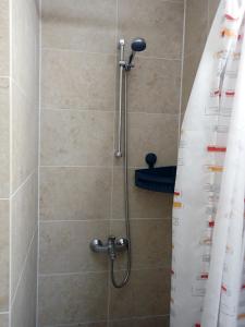 een douche met een douchegordijn in de badkamer bij FeWo Leipziger Neuseenland in Neukieritzsch