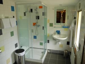 a bathroom with a shower, sink, and toilet at De Logeerboot Dordrecht in Dordrecht