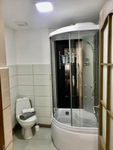 a bathroom with a shower and a toilet and a tub at Casa Asined in Întorsura Buzăului