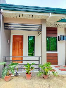 邦劳29 Palm's Panglao Suites的门前有植物的房子