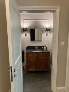 Kuchyň nebo kuchyňský kout v ubytování Kraków Green Hill Luxury Apartment + 21 fotografií