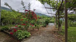 Paesaggio naturale nelle vicinanze della stanza in casa privata