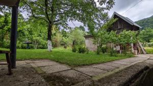 Paesaggio naturale nelle vicinanze della stanza in casa privata