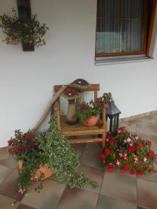 A garden outside Haus Rieder