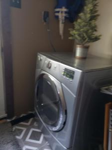 a washing machine with a plant on top of it at Lake View Cottage on Lake Erie in Ashtabula